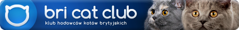 bricatclub.pl