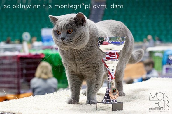 15058567_1653804158246075_1718679763_n