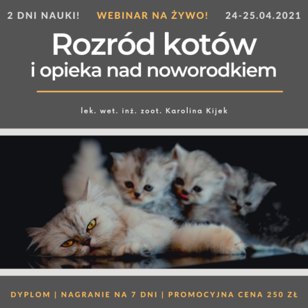 175044469_479467493397070_7454251142316541973_n