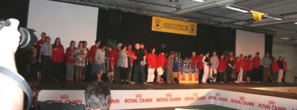 20072