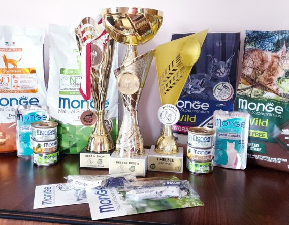 221747667_898811380846573_6706593670922795971_n
