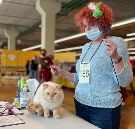 236581330_4123207501111857_6294799383652680112_n
