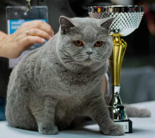 245691919_912983639651749_4961194553087956654_n