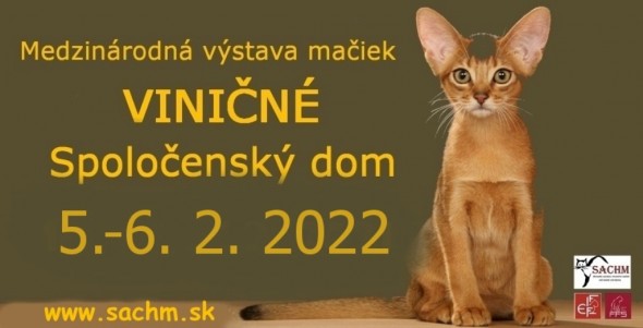 271067729_2115978368553300_3120556279183263944_n