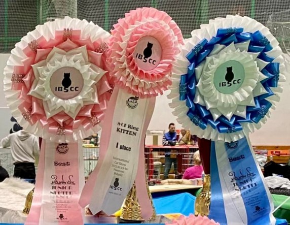 272029892_1970714846423211_8892354652244198798_n