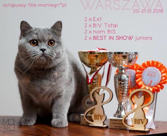 27331549_1862518427374646_6314172451192528214_n