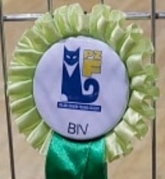 276069464_7211772818864035_2913005092839084088_n
