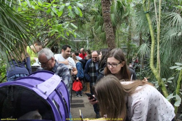 27788560_1623358564409864_5409813689305236963_o