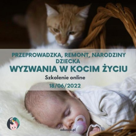 286983009_6288466031961_38548610874203739_n