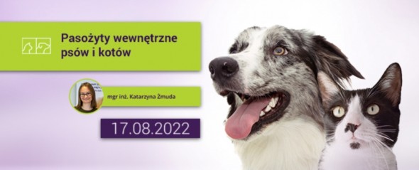 299184213_1431171054062023_1543033873628066707_n