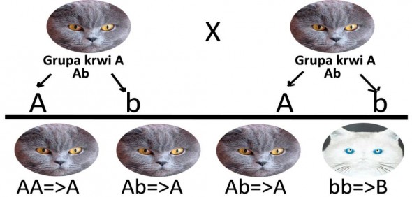 322509068_910221747081774_2796652901857655561_n