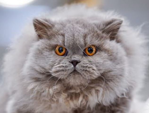 331241686_903342114266400_3815813771429640346_n