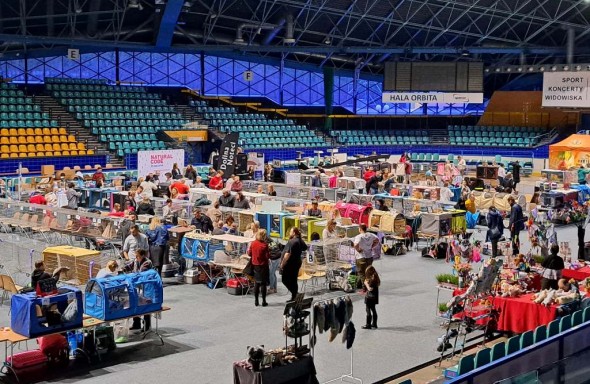 333078805_3433057426912241_7508637006010910723_n