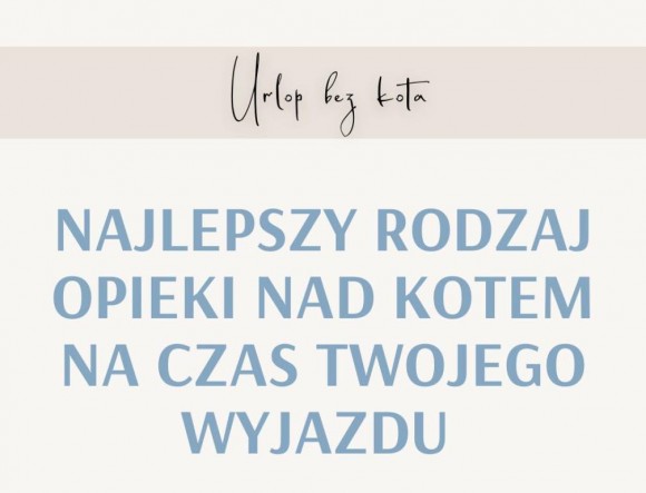 347290926_622184099818910_97868995411463842_n