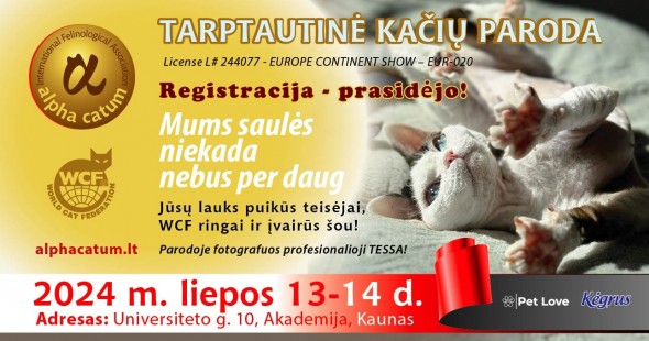 436130566_805782778242798_5367366194162418752_n