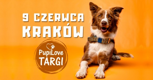 436238542_824850653006781_4764369031351528907_n