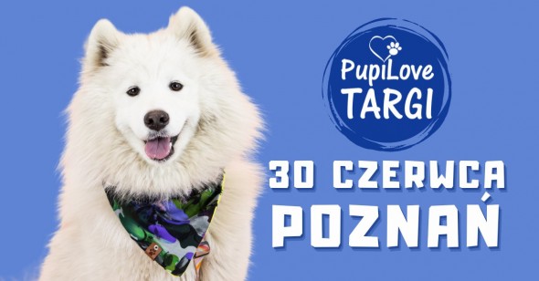 440822612_844231797735333_4614884673265165924_n