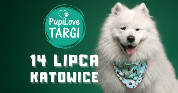 443718151_851813013643878_3851076818660258628_n