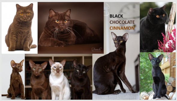 447478459_8128072763890172_7872035018399827166_n