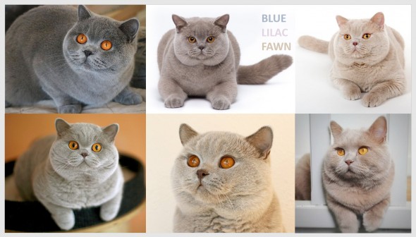 447761143_8137891909574924_646902505261161720_n