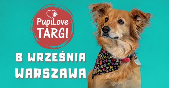 449754416_879306614227851_9032237445076823722_n