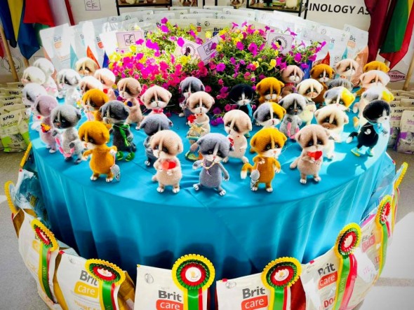 450993351_1037089721758116_5545128629970504720_n