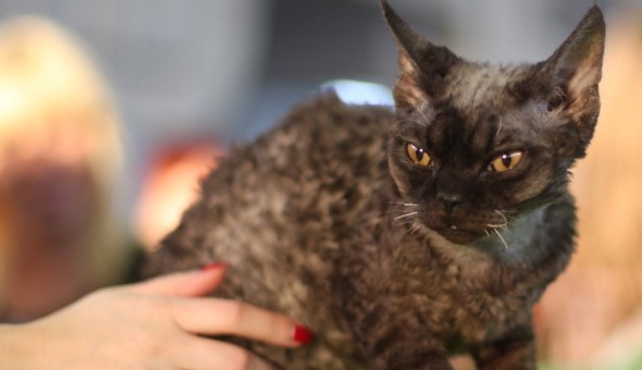 451230313_879965194170452_489201238214187127_n