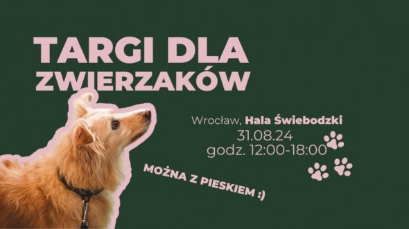 453843617_1212144330226860_9063370632998426480_n