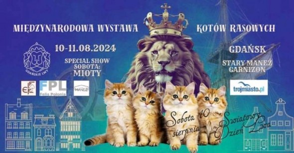 454436640_483045647765431_8603128090938446938_n