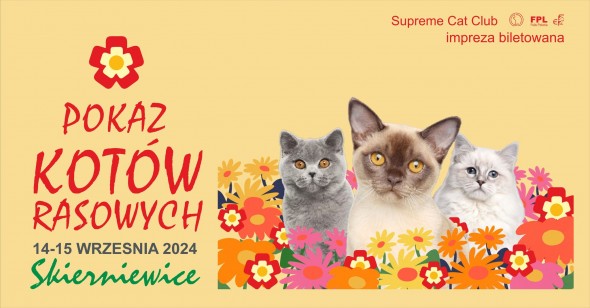 454506815_122158021448240350_7717638132771007190_n