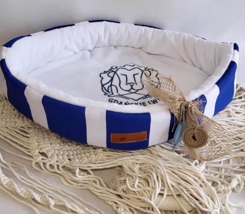 454648227_1039902028136405_2847548719860271878_n