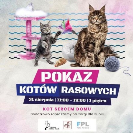 456654800_1872769743209185_4601062031604961128_n