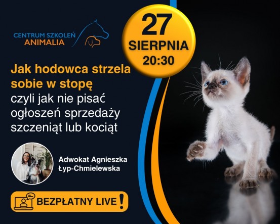 456837131_1055774586550283_3770001420326083677_n