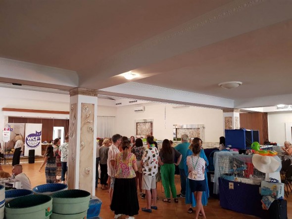 456902343_1025726479561946_6838097423495187938_n