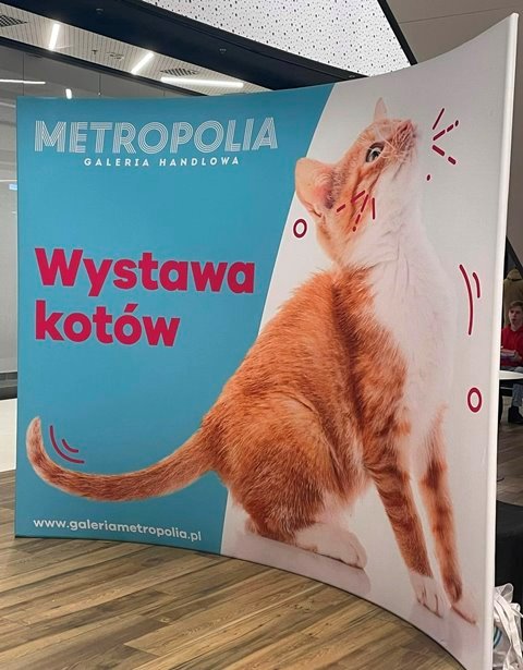 476806310_1261076852172268_7830619505484612220_n