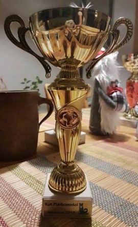 48381894_2161769567207996_7175758279841153024_n