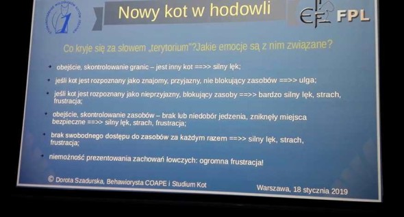 50210395_2043861199061299_7939555373768245248_n