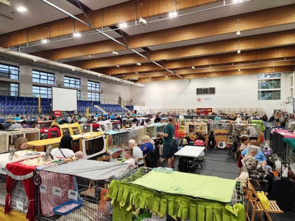 538517c9-75ac-4b13-bb1c-9edfe6aeb3c3