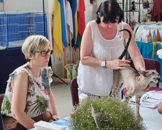 5957596f-e252-4808-b8d4-f76ccfbc892c