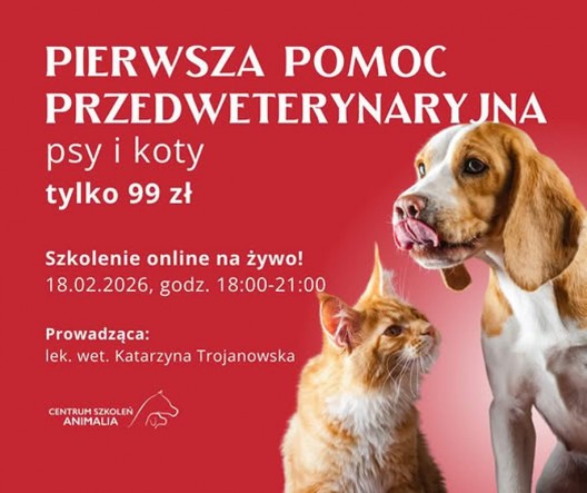 620147474_1511523444308726_5575549286654416723_n