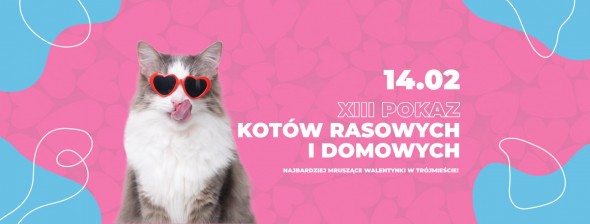 630592804_1338799931618499_2583080173497726724_n