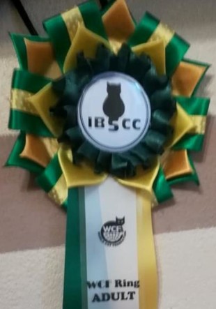 82090359_465205884385102_2208172300396658688_n