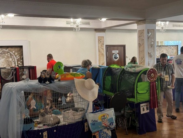 84f0a115-8ff1-462e-a52b-041bfbc2cef9