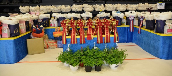 883710_309228255881719_288406457_o