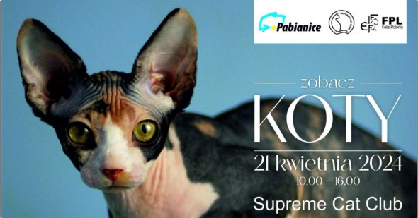 POKAZKWIECIEN1