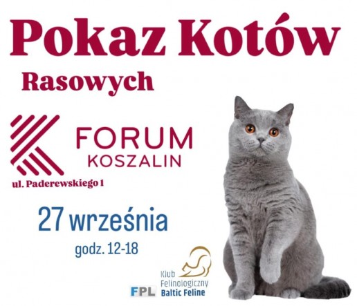 POKAZWRZESIEŃ1