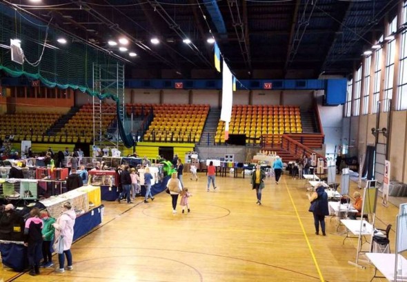 SALA