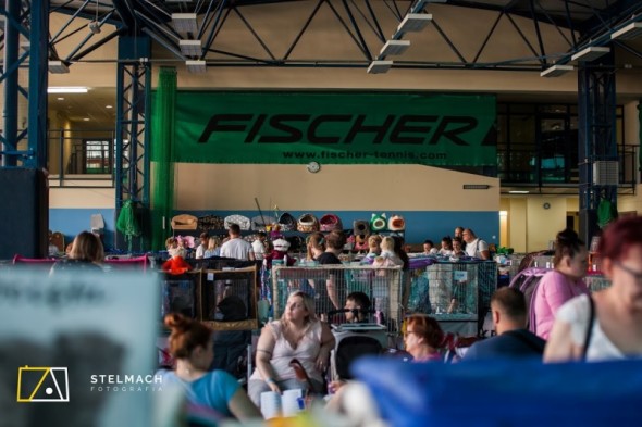 WKR_2019-06-08_0027