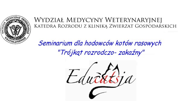 WYSTAWA11