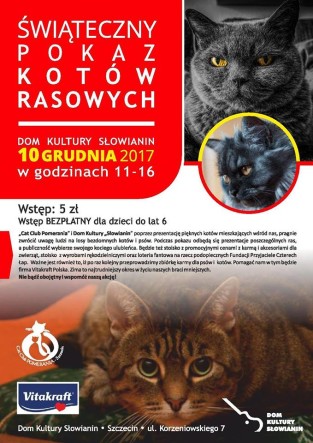 WYSTAWA12
